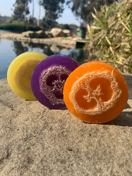 Seville-Citrus-Loofah Soap